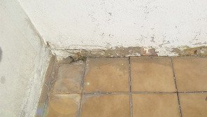 Abgeplatzter Wandbereich über braunen Bodenfliesen